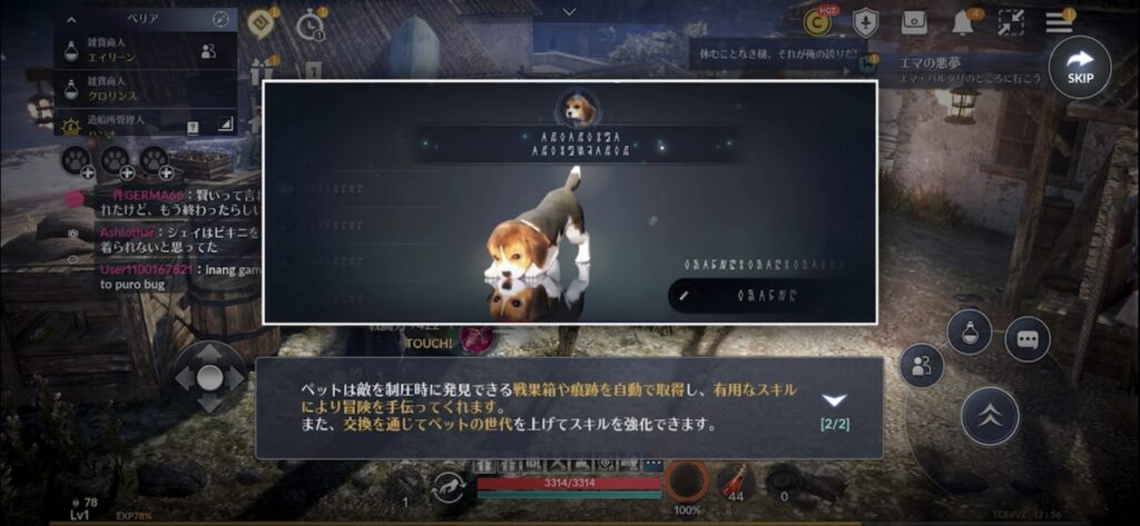 黒い砂漠_生活コンテンツ