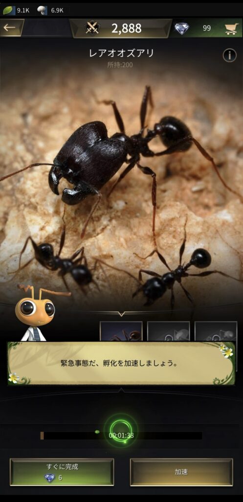 ザアンツ_別画面